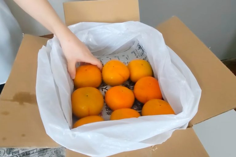 ビニール袋に入れて保存